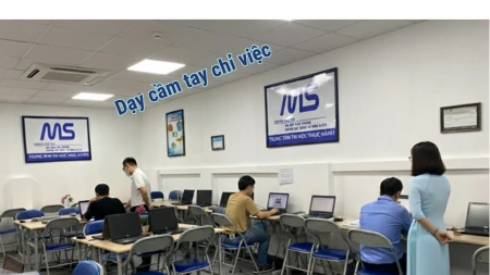 Trung tâm Tin học MS - Dạy kèm Tin học văn phòng